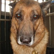 你分手我很开心阿