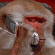 user991 - steam id 76561199806376448