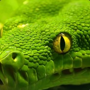 Лолочка