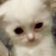 ʅҽɨɾυ