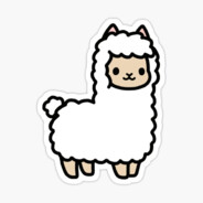 Alpaca