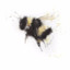 blinnebee