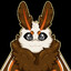 Moth 1