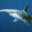 HammerHeadShark