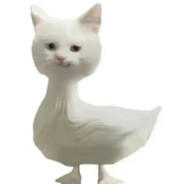 给我一杯忘情水