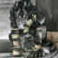 steelwolf74205