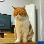 我阿玉绝非善类