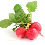 radish - steam id 76561197962138887