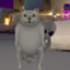 Benny🐱‍👤