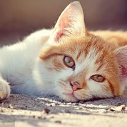 张麻子（牧之）