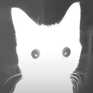 Sniff