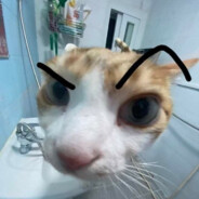 黄金精神的那个男人