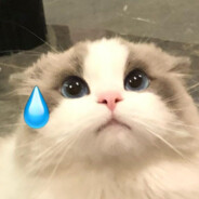 鲨死那个什邡人