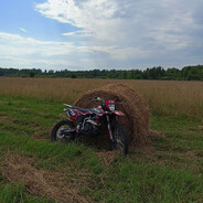 анальный гений