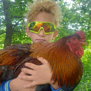 Pamkutya Béla gamer