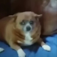 hurryingcheese1