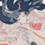 浮萍