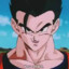 Gohan