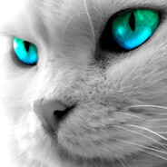 Luci avatar