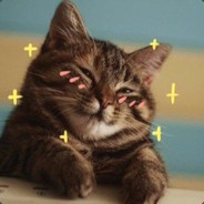 nvbnvb