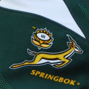 SpringBok