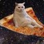 The Flying PizzaCat