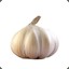 Knoblauch