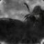 DarkShadowOT