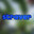 Strayer