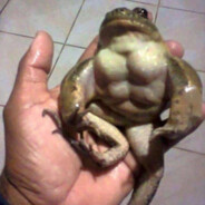 frog