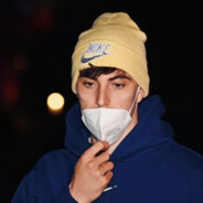 风流倜傥鼠尾草