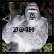 Harambe avatar