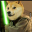 Doge Skywalker^