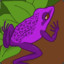 Amethyst Amphibian