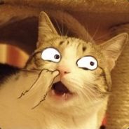 Big Avatar