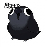 Wooly avatar
