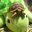 babyturtle