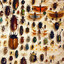 Whole Lotta Bugs