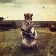 a whore - steam id 76561197968955251