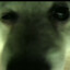 Kyro