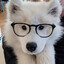 dog on it