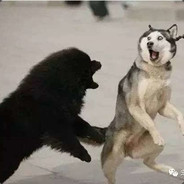 在演了，满意吗