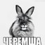 ЧЕРЕМША