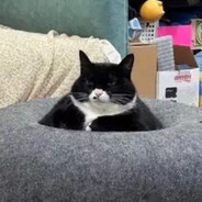 БУЯНОВ, ГДЕ ФЭПЭЭС