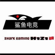 鲨鱼电竞·老大