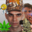 Васька W