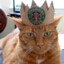 THE KING OF THE BARISTAS