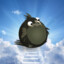 Corvus