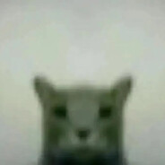 xowr Steam avatar