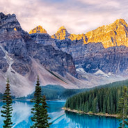 放我一马马马马马